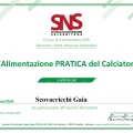 Ingrandire l'immagine: certificate 3