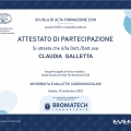 Ingrandire l'immagine: certificate 3
