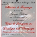 Ingrandire l'immagine: certificate 4