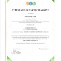 Ingrandire l'immagine: certificate 10