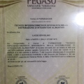 Ingrandire l'immagine: certificate 3