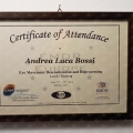 Ingrandire l'immagine: certificate 2
