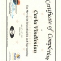 Ingrandire l'immagine: certificate 3