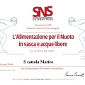Ingrandire l'immagine: certificate 7