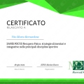 Ingrandire l'immagine: certificate 3