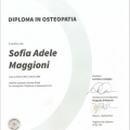Ingrandire l'immagine: certificate 1