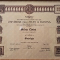 Ingrandire l'immagine: certificate 1