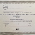 Ingrandire l'immagine: certificate 5