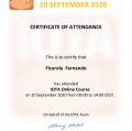Ingrandire l'immagine: certificate 2