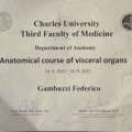 Ingrandire l'immagine: certificate 8