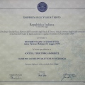 Ingrandire l'immagine: certificate 4