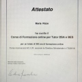Ingrandire l'immagine: certificate 7