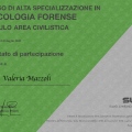 Ingrandire l'immagine: certificate 6