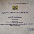Ingrandire l'immagine: certificate 4