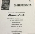 Ingrandire l'immagine: certificate 15