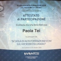 Ingrandire l'immagine: certificate 4