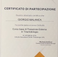 Ingrandire l'immagine: certificate 6