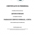 Ingrandire l'immagine: certificate 53