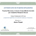 Ingrandire l'immagine: certificate 2