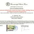 Ingrandire l'immagine: certificate 4