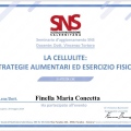 Ingrandire l'immagine: certificate 8
