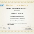 Ingrandire l'immagine: certificate 1