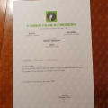 Ingrandire l'immagine: certificate 18