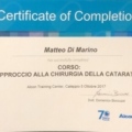 Ingrandire l'immagine: certificate 9