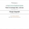 Ingrandire l'immagine: certificate 10