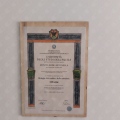 Ingrandire l'immagine: certificate 5