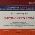 Ingrandire l'immagine: certificate 2