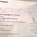 Ingrandire l'immagine: certificate 4