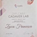 Ingrandire l'immagine: certificate 4