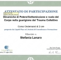 Ingrandire l'immagine: certificate 9