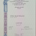 Ingrandire l'immagine: certificate 2