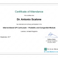 Ingrandire l'immagine: certificate 1