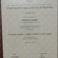 Ingrandire l'immagine: certificate 3