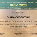 Ingrandire l'immagine: certificate 1