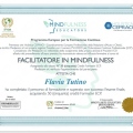 Ingrandire l'immagine: certificate 4