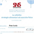 Ingrandire l'immagine: certificate 8