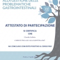 Ingrandire l'immagine: certificate 13