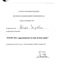 Ingrandire l'immagine: certificate 12