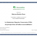 Ingrandire l'immagine: certificate 2