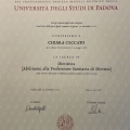 Ingrandire l'immagine: certificate 1