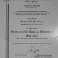 Ingrandire l'immagine: certificate 7