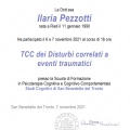 Ingrandire l'immagine: certificate 4