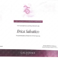 Ingrandire l'immagine: certificate 3