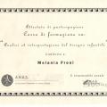 Ingrandire l'immagine: certificate 3