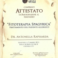 Ingrandire l'immagine: certificate 10