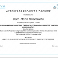 Ingrandire l'immagine: certificate 6